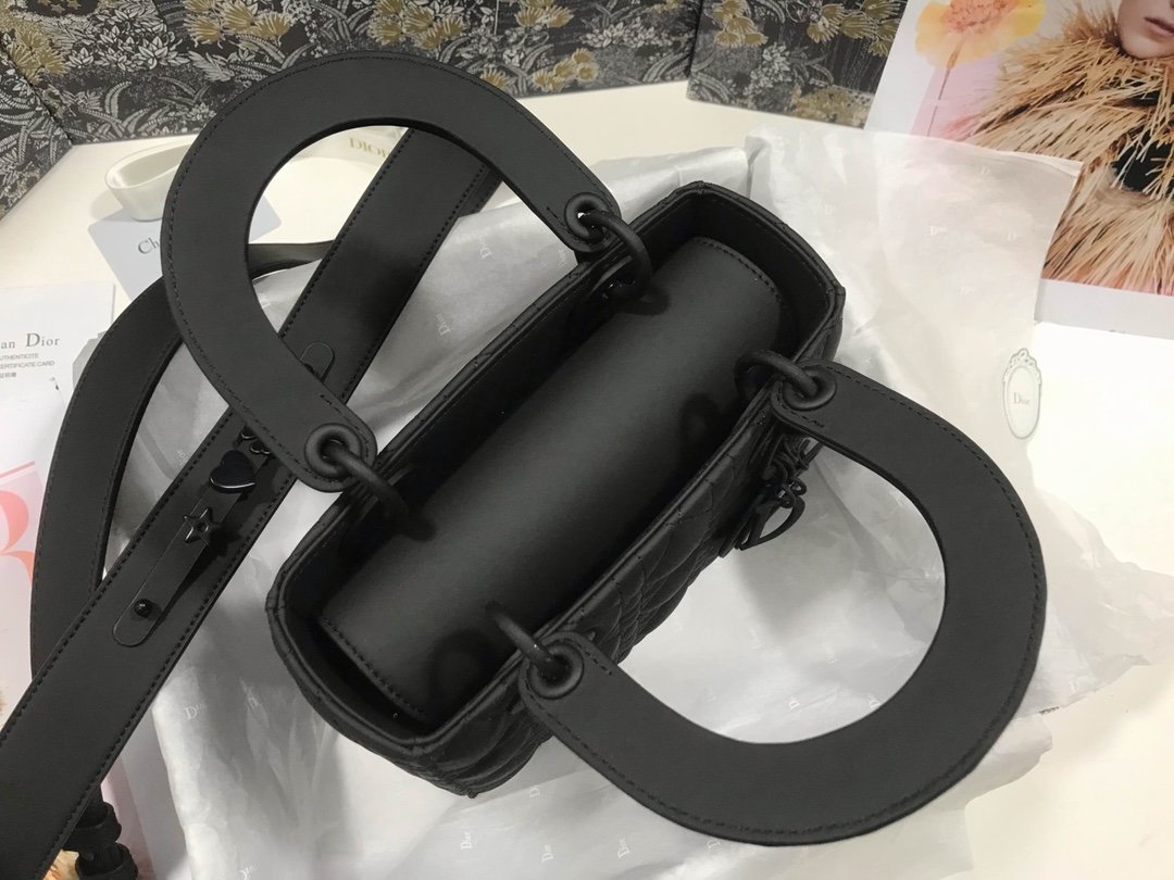 lady D*or bag-20*16.5*8cm