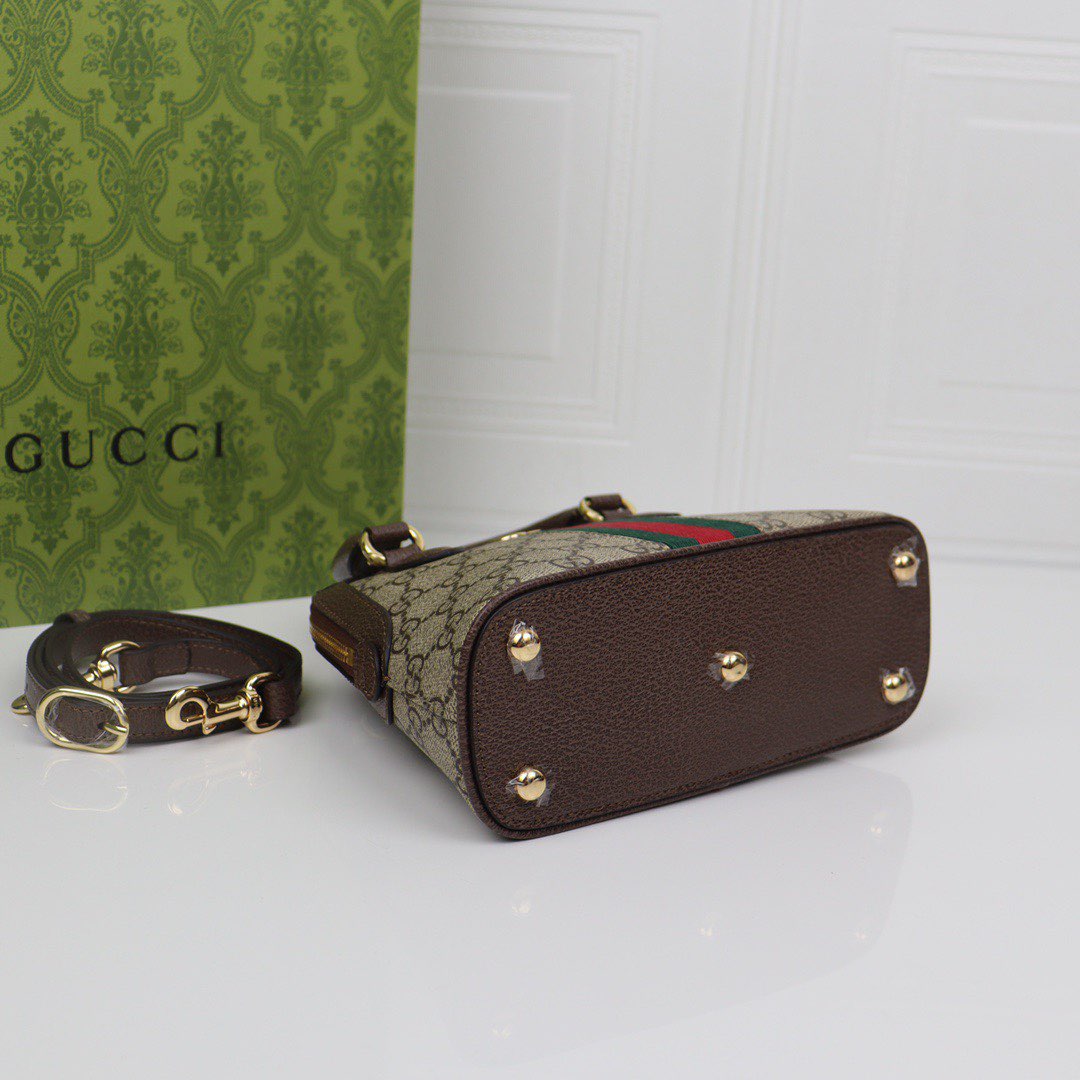 Gvc*1 ophidia bag-25x20x7.5cm