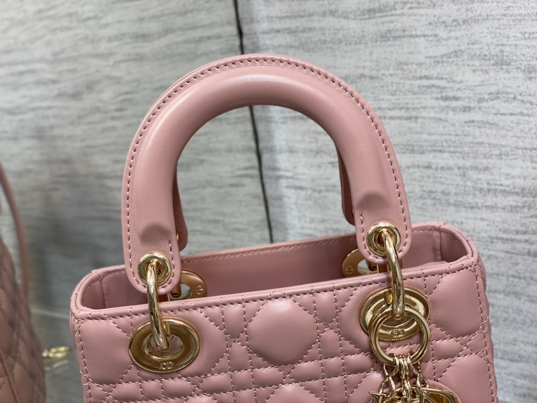 D*or lady bag-20*16.5*8cm