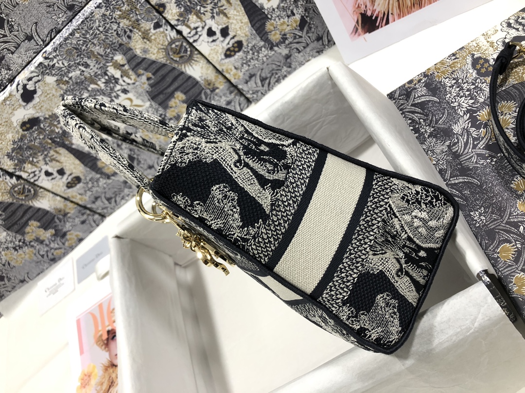 lady D*or bag-24*20*11cm