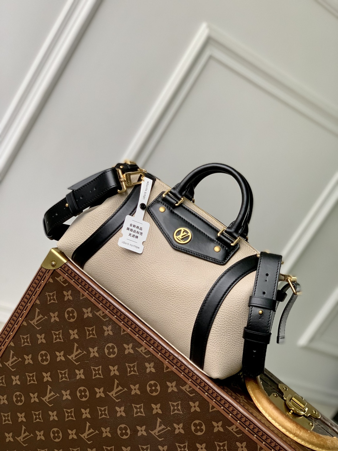 L0vis Vvtt0n Biker Handbags-M14721-12 x 12 x 30CM