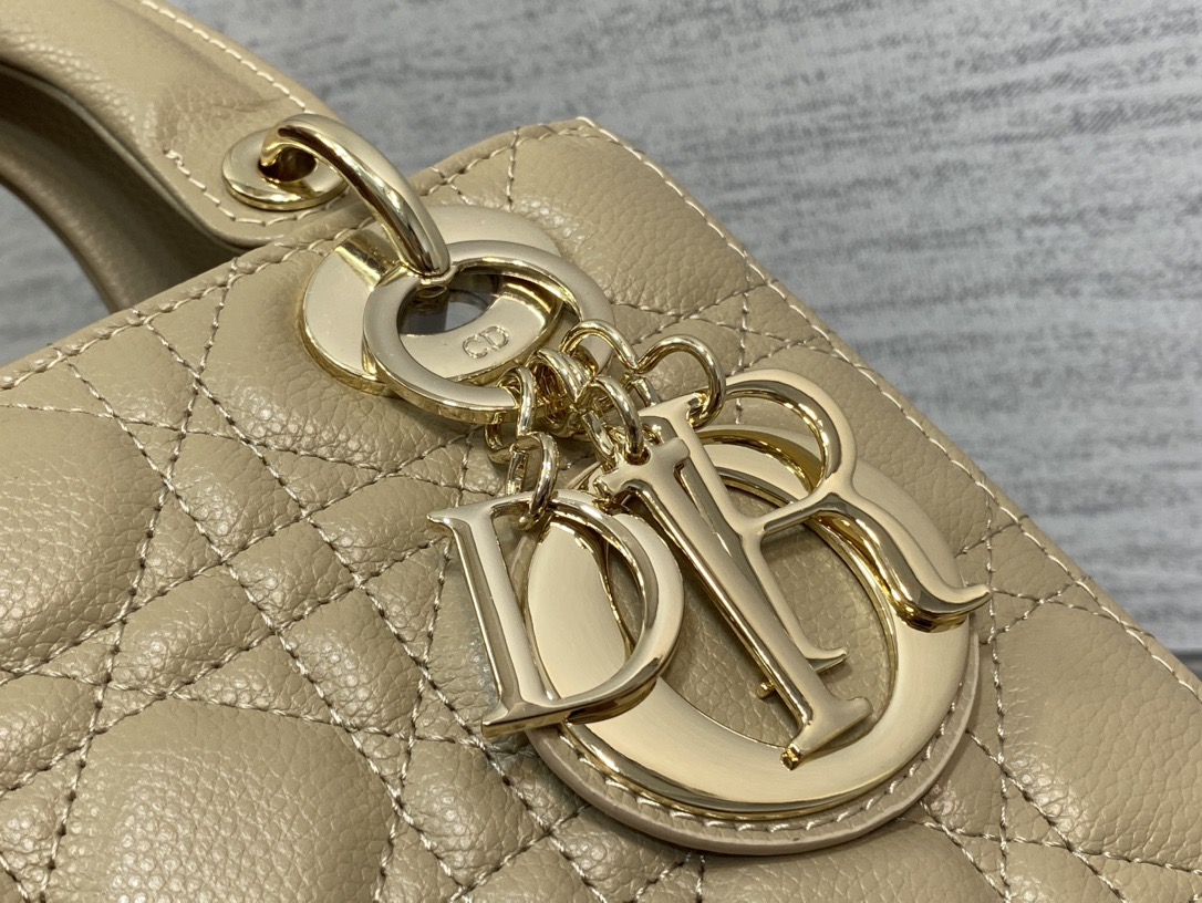 Lady Diro Bag-Gold Hardware-20*16.5*8CM