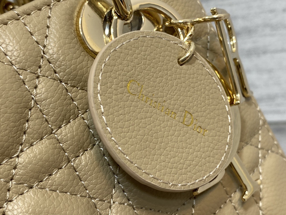 Lady Diro Bag-Gold Hardware-20*16.5*8CM