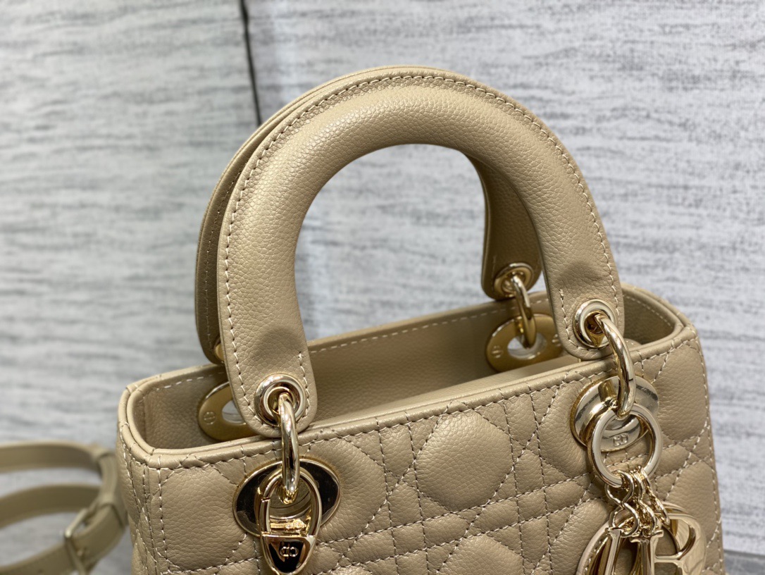 Lady Diro Bag-Gold Hardware-20*16.5*8CM