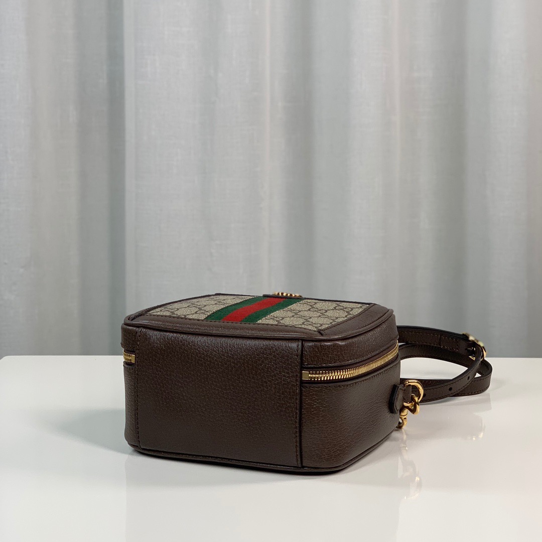 Gvc*1 ophidia bag-17*16.5*9.5cm