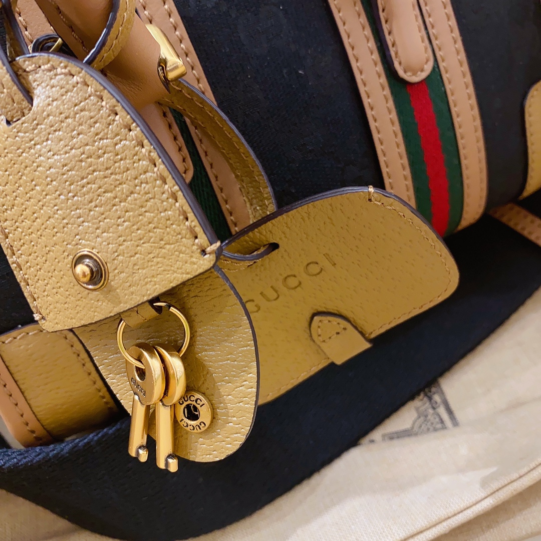 G*u*i ophidia handbags-22*15*11cm