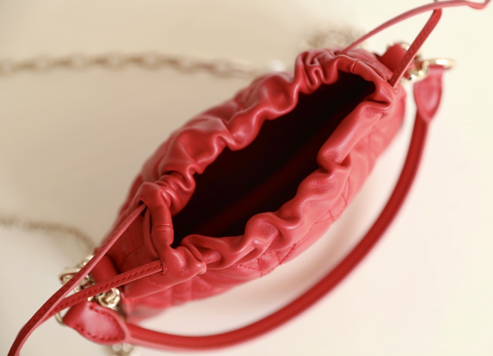 lady D*or bag-19 x 13 x 5cm