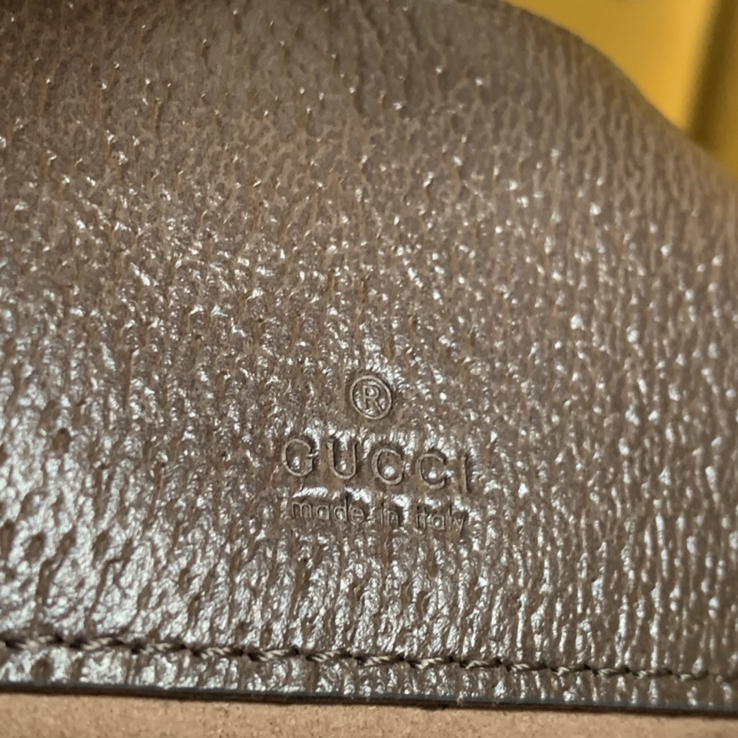 G*u*i ophidia bag-20/15/5cm