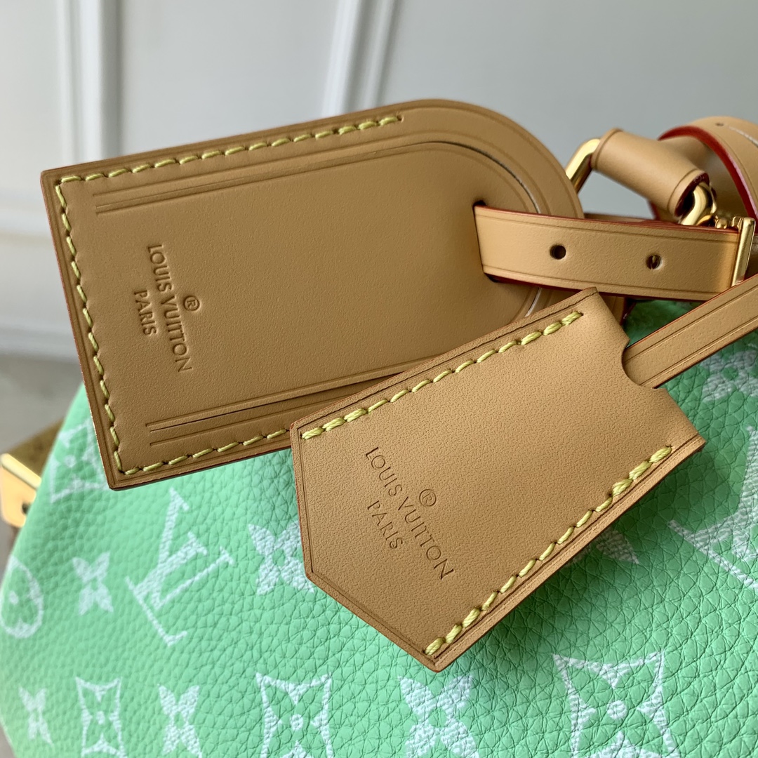 l0*is V*t0n speedy bandoulière 25-25x 19 x 15cm