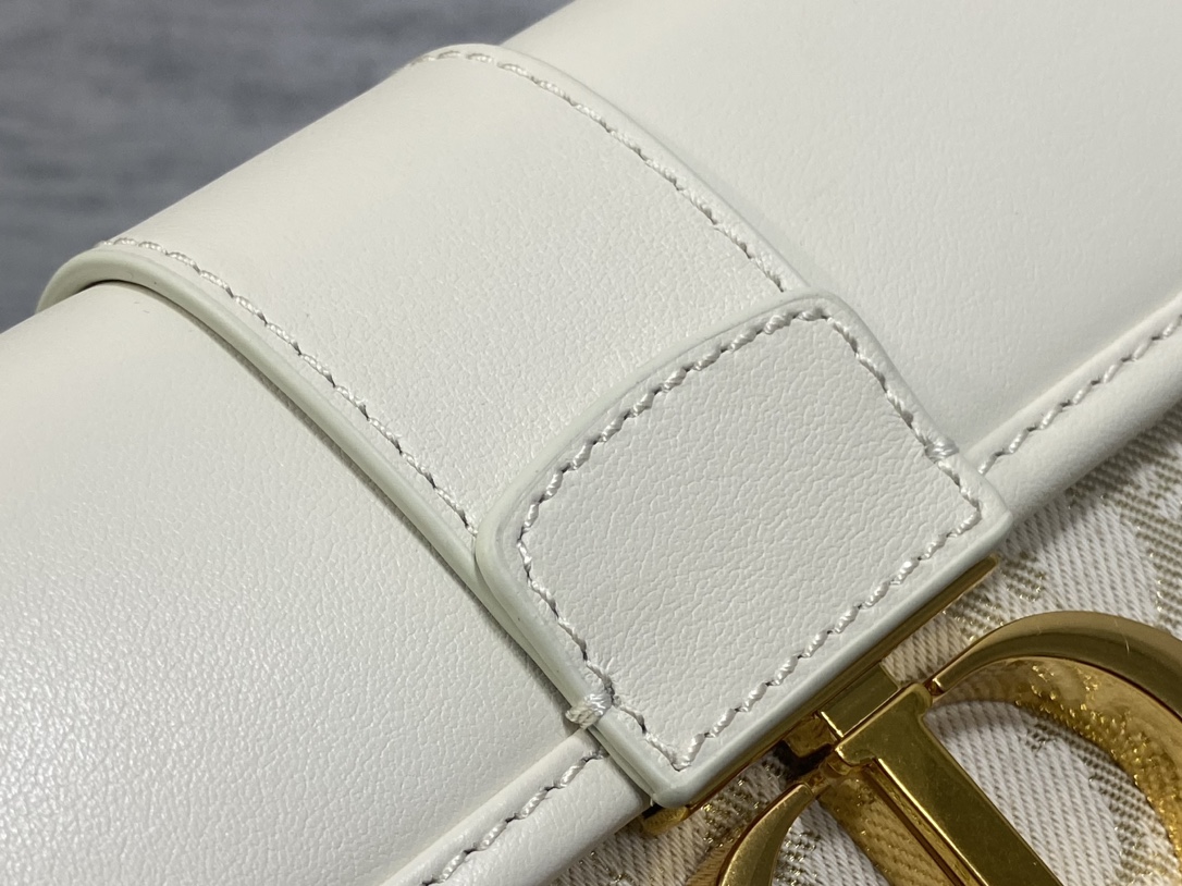 Di0r 30 Montaigne Bag-21.5×12×6CM