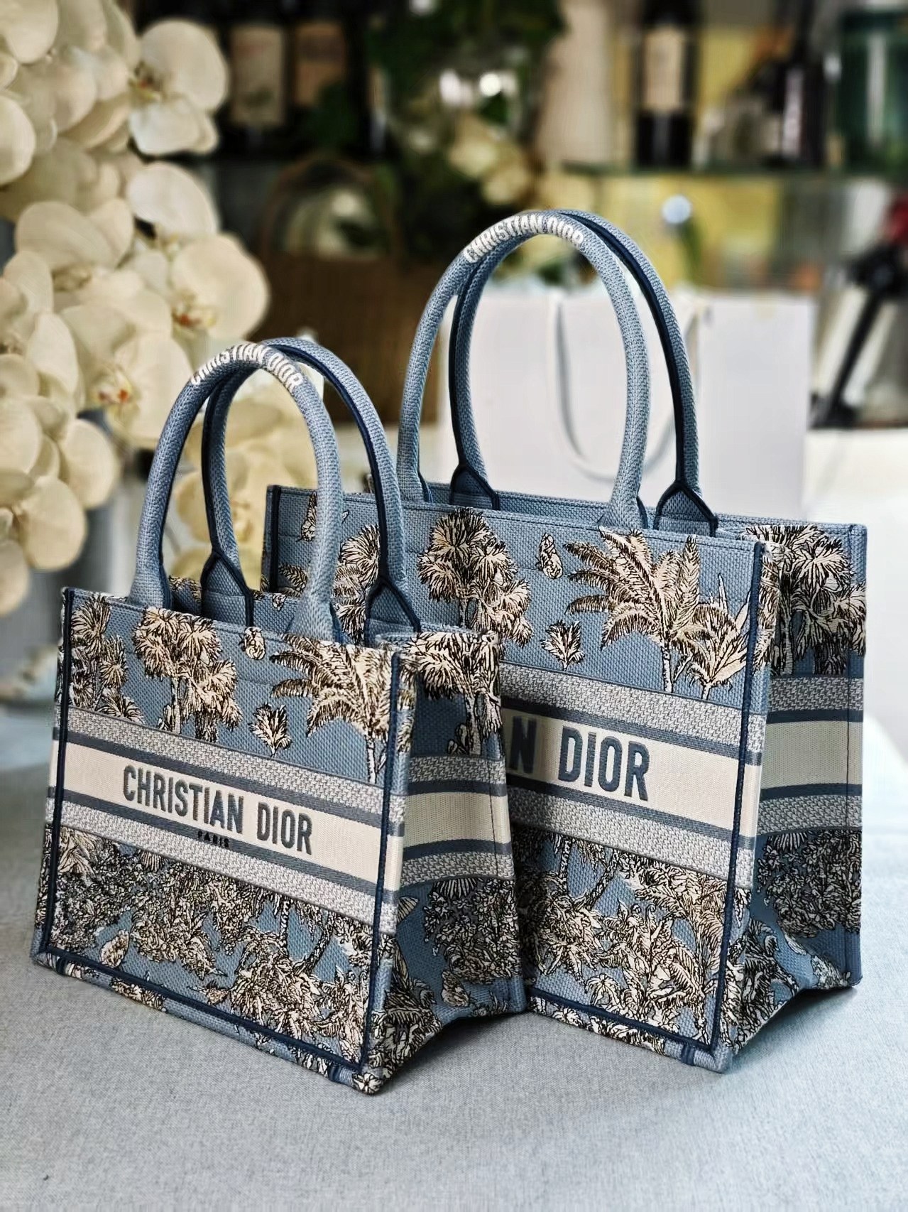 Diro Book Tote